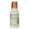 AVEDA - Rosemary Mint Purifying Shampoo (Travel Size) 998137 50ml/1.7oz