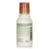 AVEDA - Rosemary Mint Weightless Conditioner (Travel Size) 998175 50ml/1.7oz