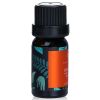 NATURAL BEAUTY - Essential Oil - Orange E1F1024E 10ml/0.34oz